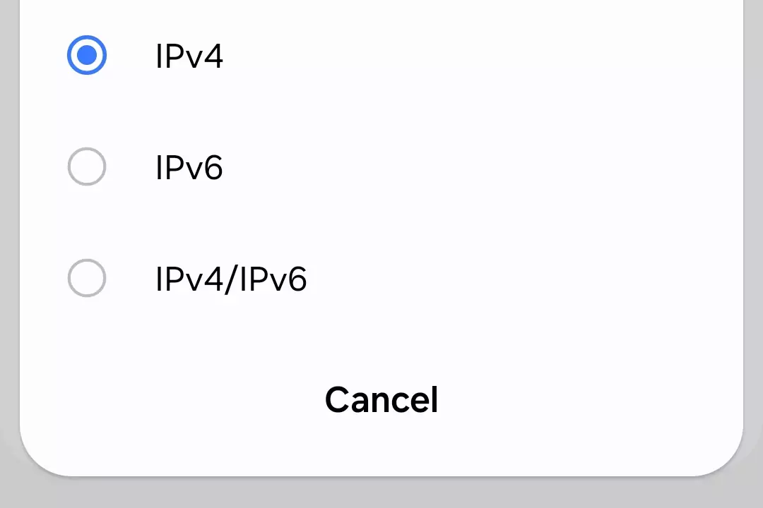 screenshot of the ipv4 selected from the selected options