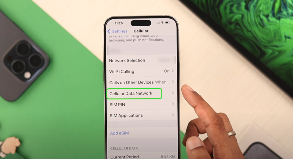 cellular data network settings iphone