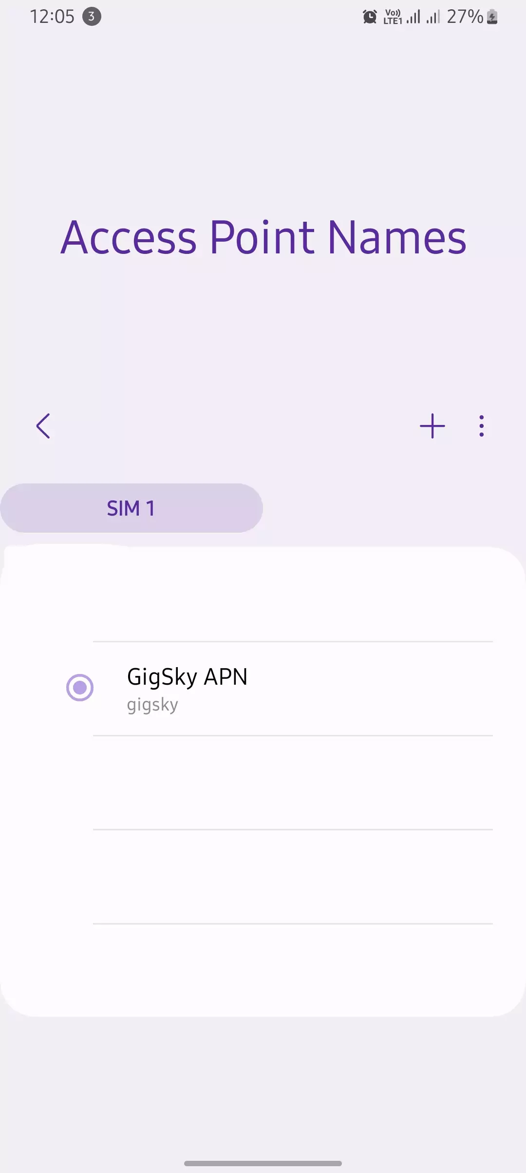 access point name Gigsky