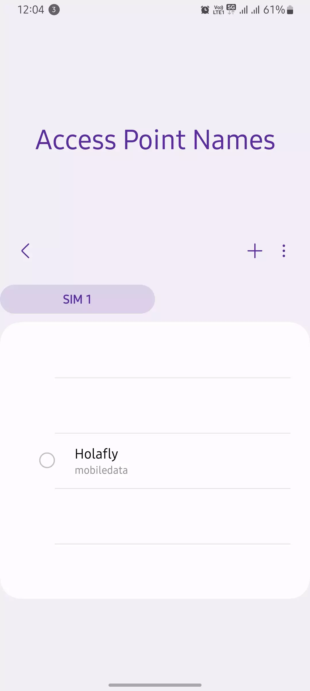 access point name with Holafly internet
