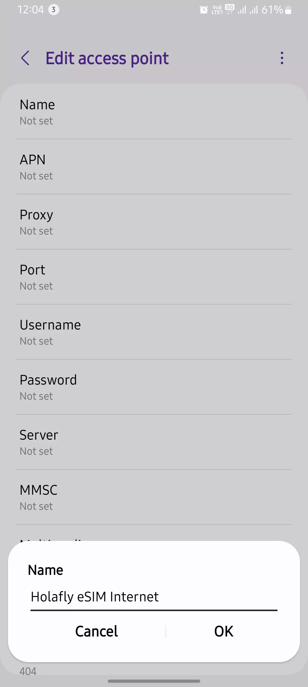naming esim holafly apn