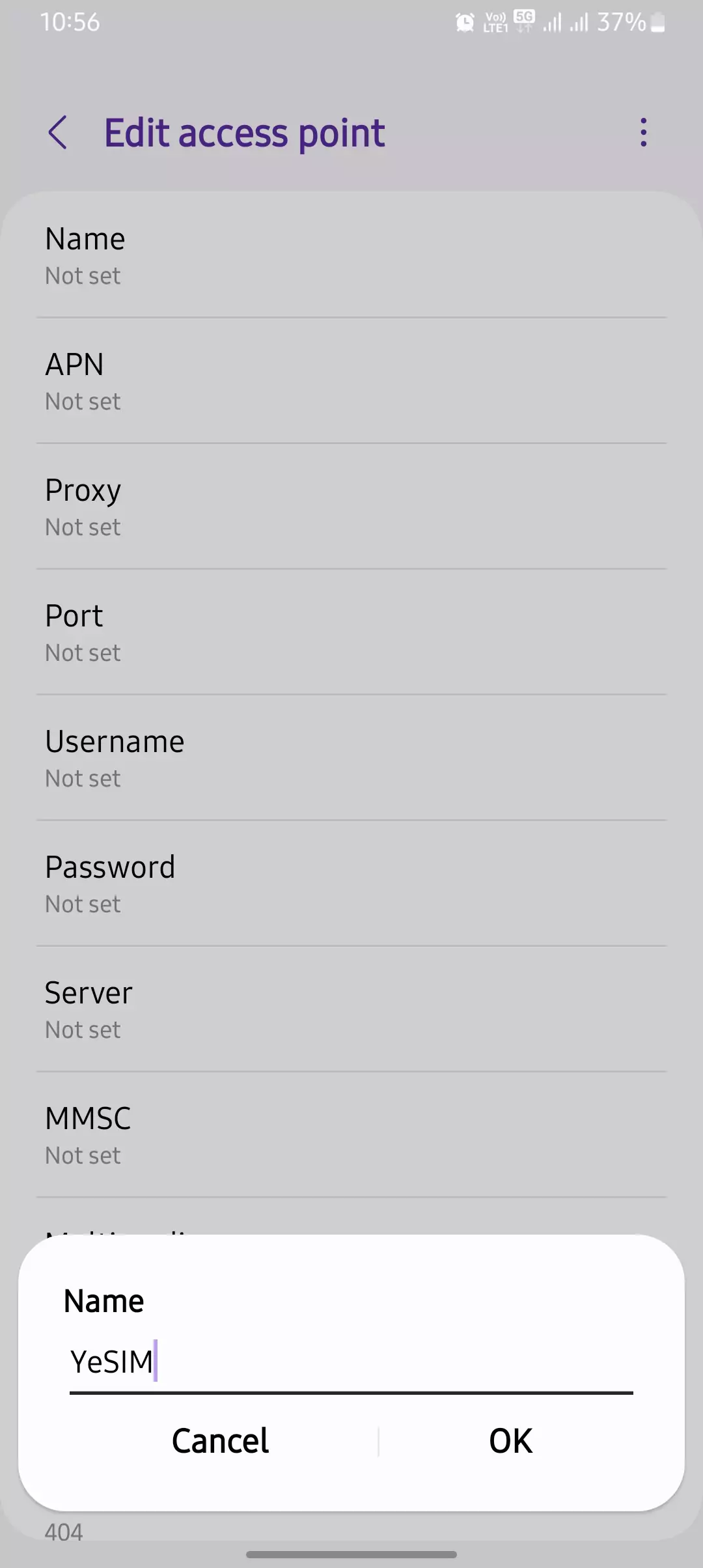 naming the APN for yesim