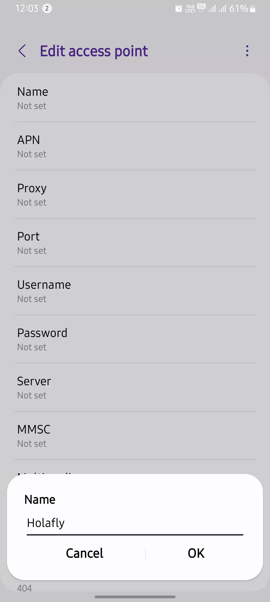 naming the holafly apn