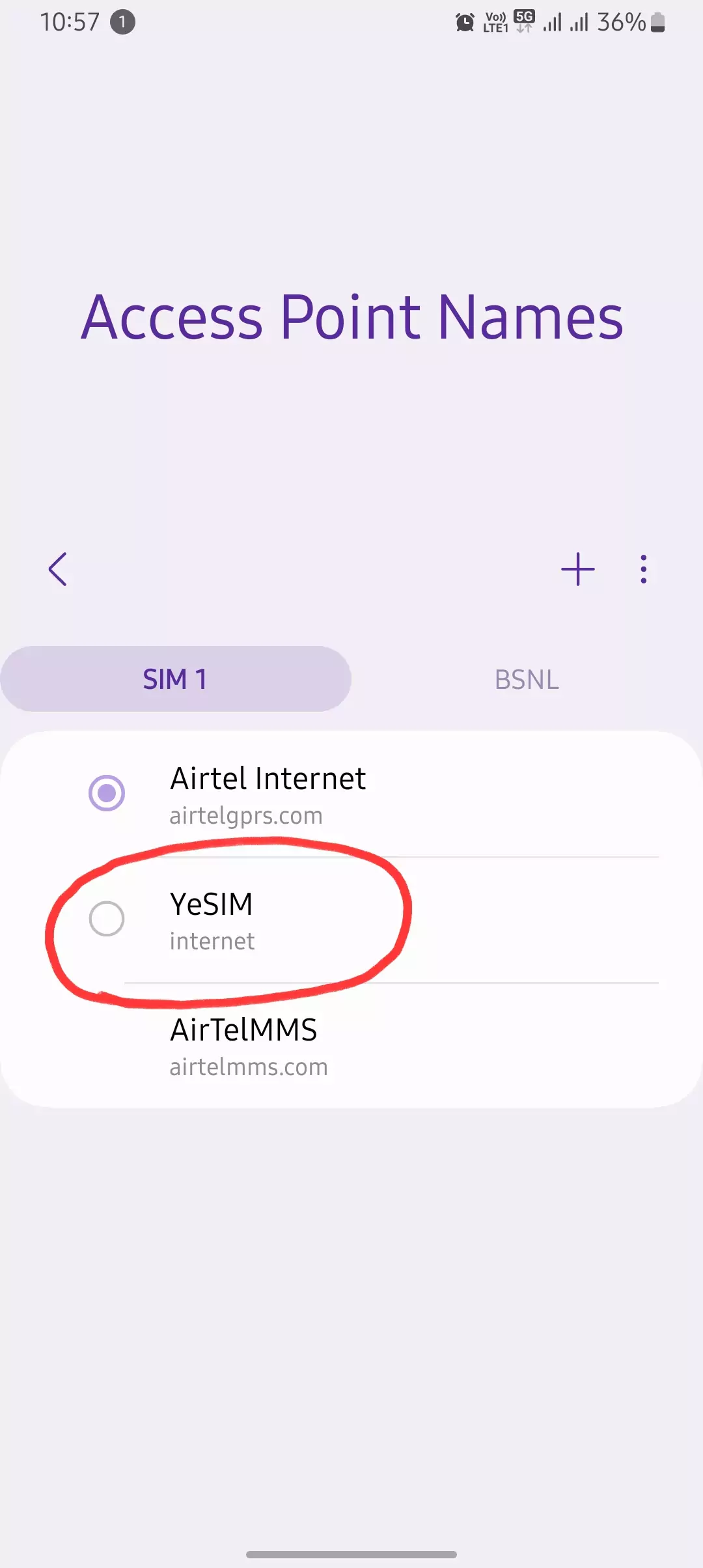 yesim access point name