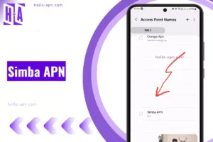 screenshot of the simba apn with same overlay text left