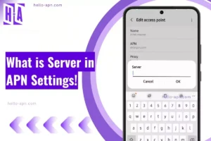 what is server in apn showing with same overlay text