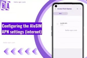 configuring the Alosim with its screenshot and overlay text