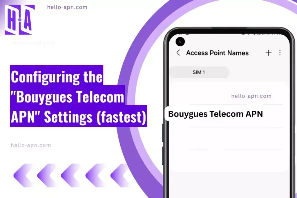 screenshot of the Bouygues Telecom APNwith similar overlay text