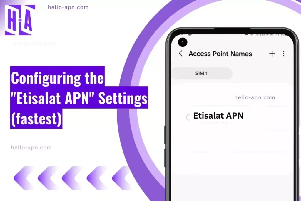 screenshot of the Etisalat APN with similar overlay text
