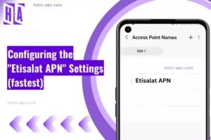 screenshot of the Etisalat APN with similar overlay text