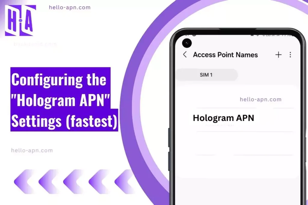screenshot of the Hologram APN with similar overlay text