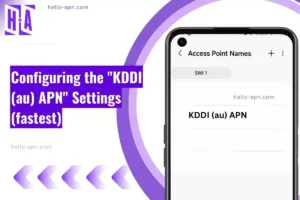 screenshot of the KDDI (au) APN with same overlay text