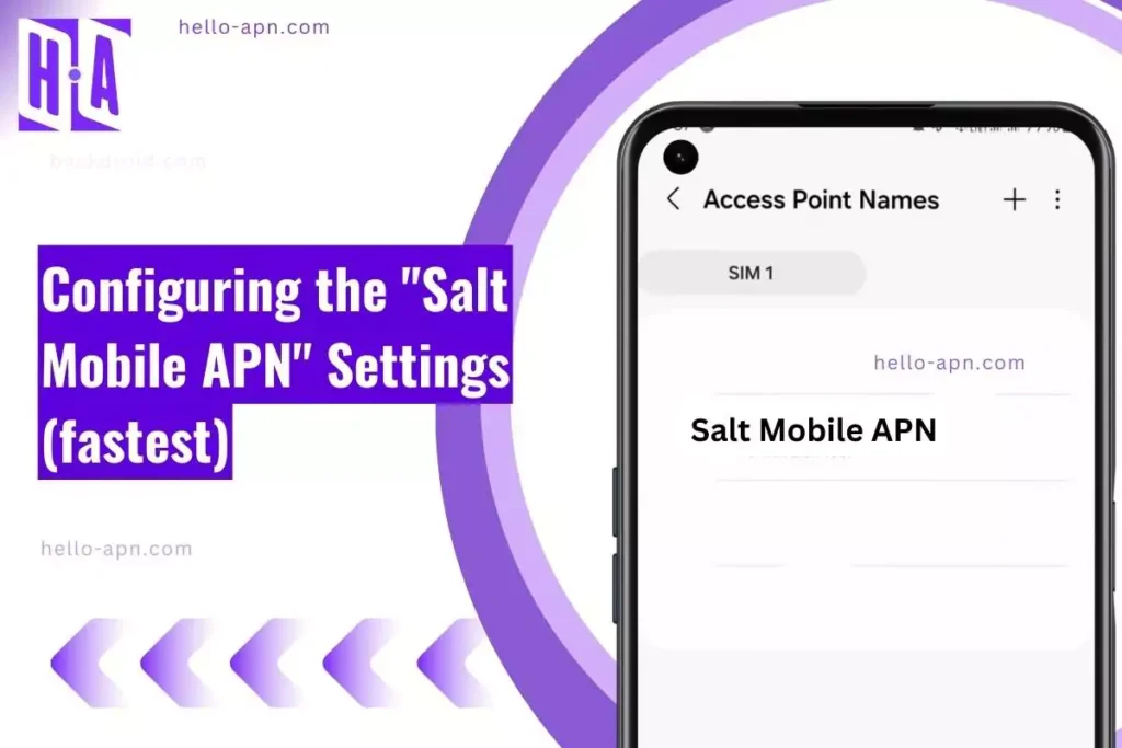 screenshot of the Salt Mobile APN with same overlay text