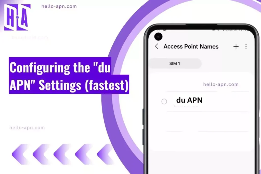 screenshot of the du APN with similar overlay text