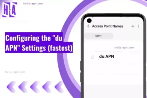 screenshot of the du APN with similar overlay text